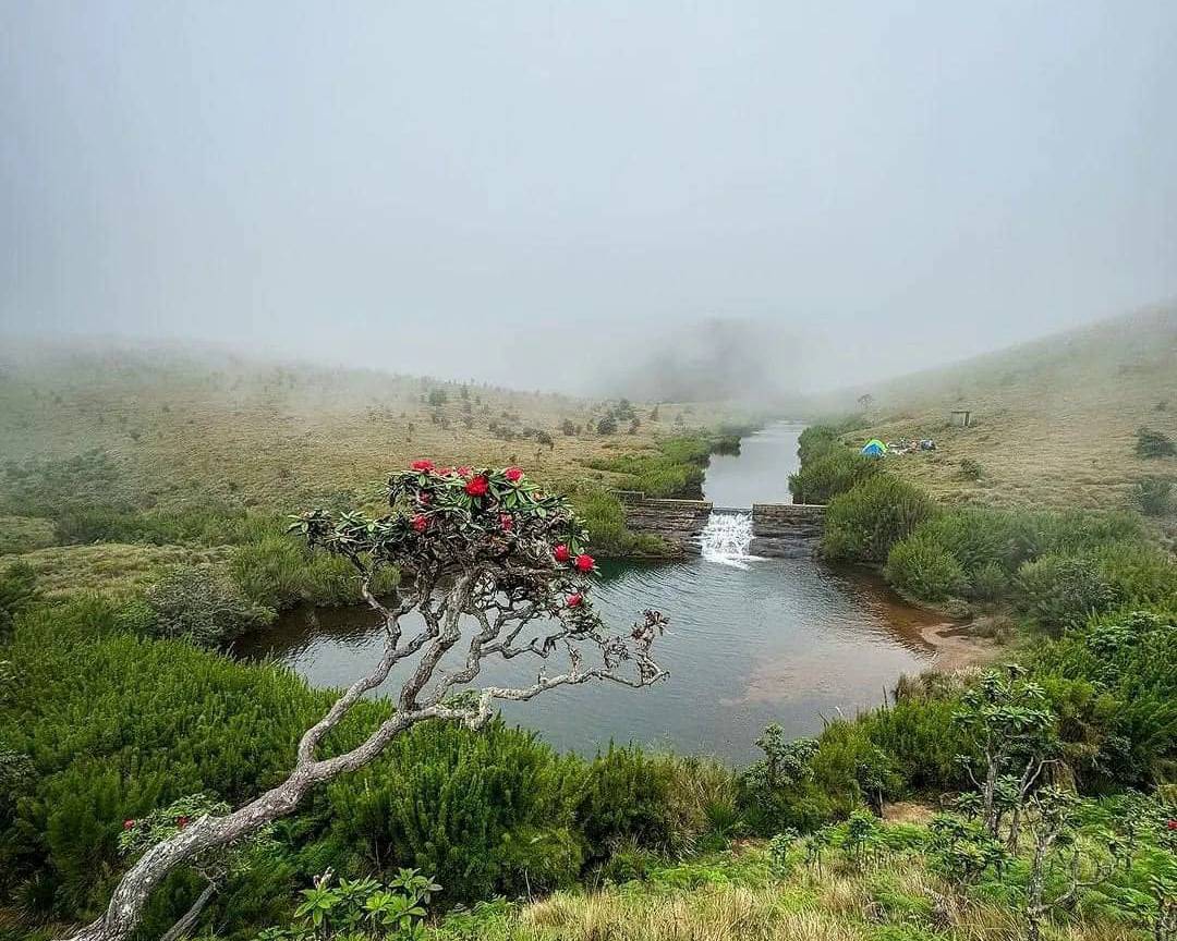 Day 3: Kandy → Nuwara Eliya