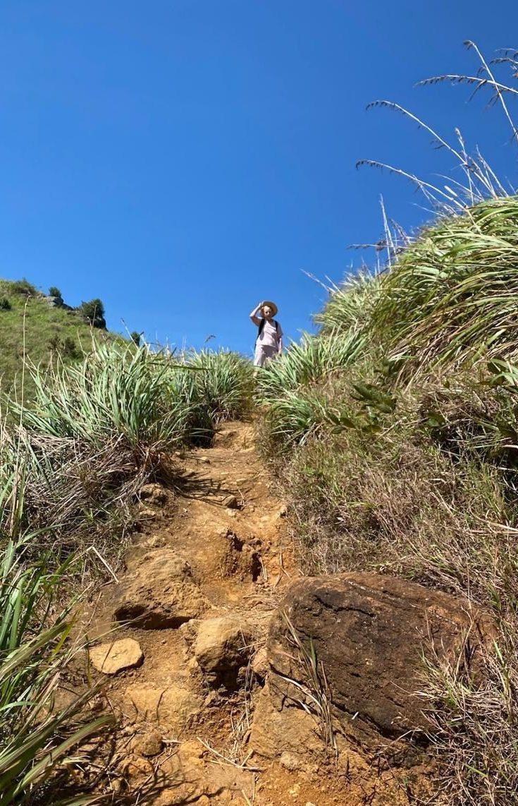 Day 4: Nuwara Eliya → Ella